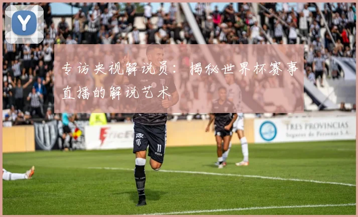 专访央视解说员:揭秘世界杯赛事直播的解说艺术