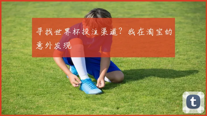 寻找世界杯投注渠道？我在淘宝的意外发现