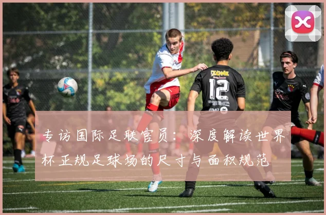 专访国际足联官员:深度解读世界杯正规足球场的尺寸与面积规范