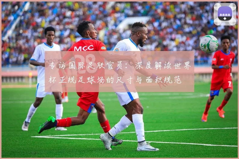 专访国际足联官员:深度解读世界杯正规足球场的尺寸与面积规范