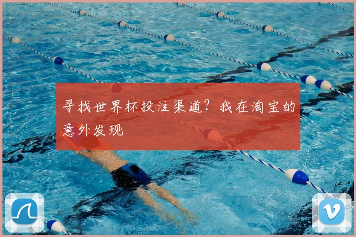 寻找世界杯投注渠道？我在淘宝的意外发现