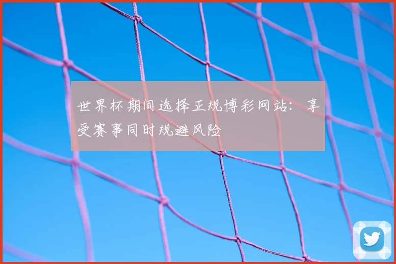 世界杯期间选择正规博彩网站：享受赛事同时规避风险