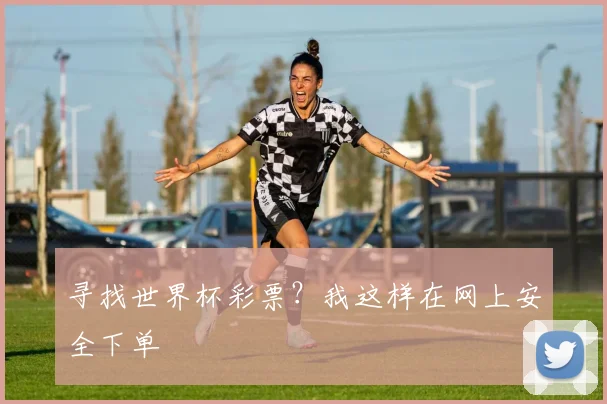 寻找世界杯彩票？我这样在网上安全下单