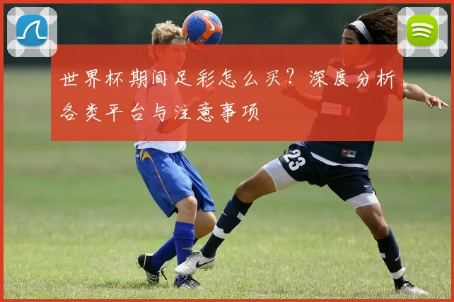 世界杯期间足彩怎么买？深度分析各类平台与注意事项